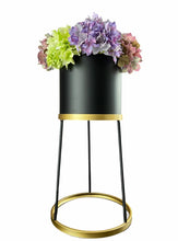 Load image into Gallery viewer, Liza Gold &amp; Black Plant Stand
